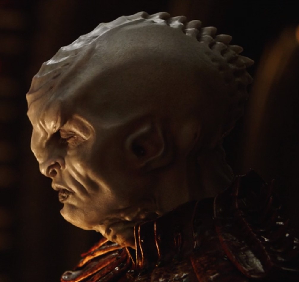 A Klingon with albinism. His face is flat but angular, the back of his skull is elongated, and he has bone ridges running back from his nose to the back of his head.